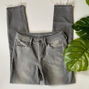 Articles of Society Skinny Jeans Size 24
